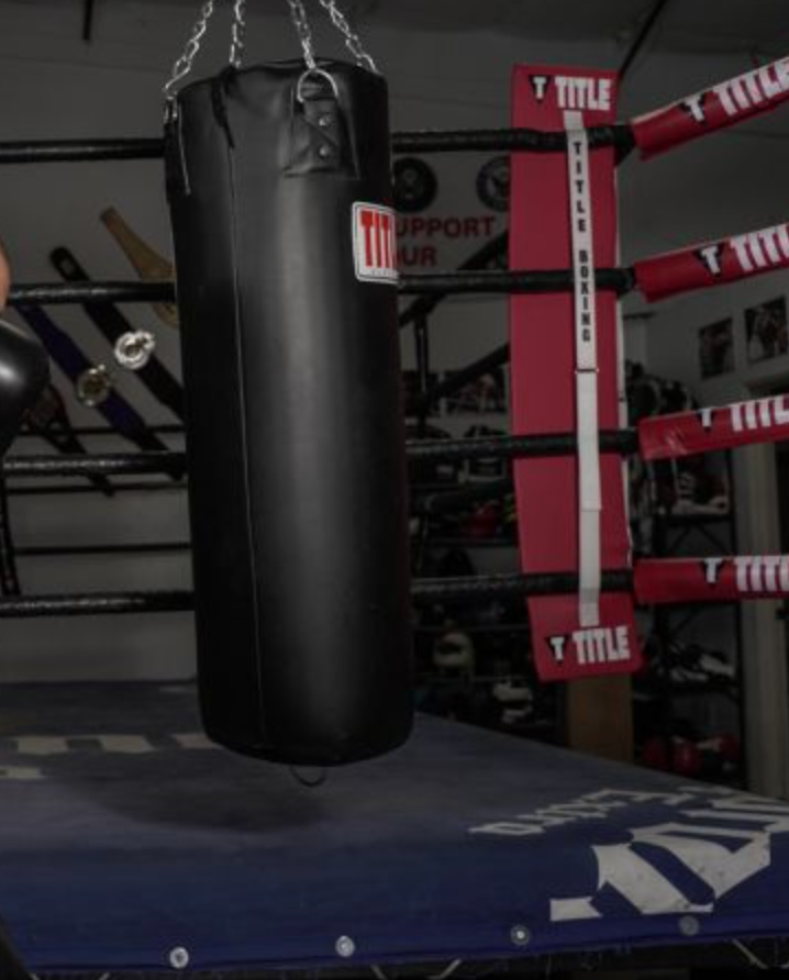 Punching Bags For Adults Double End Bags For Boxing PRIZE FORM